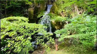 【せせらぎ】徳川園 虎の尾〜大曽根の滝