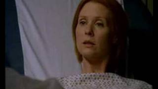Tribute to Miranda (4)