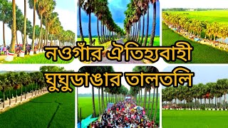 ঘুঘুডাঙ্গা,নওগাঁ নিয়ামতপুর #CoxsBazar #Sentmartin #Sajek #Bandorban #Kuakata #তাল_বাগান