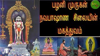 Pazhani Murugan Navabashanam silaiyin Magathuvam - பழனி முருகன் நவபாஷாண சிலை -TAMIZH TV