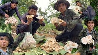 Find Karenni Mountain Food  Mushrooms 🍄