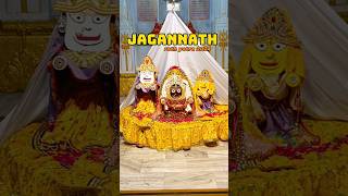 Finally darshan hogye ❤️✨ #minivlog #ashortaday #jagannath #hinduism