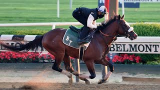 Tiz the Law is a big favorite in a Derby unlike any other
