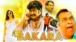 Brahmanandam New Released Full Hindi Dubbed Movie 2024 New | Bakara Full Comedy Movie