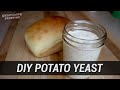 Making Yeast with a Potato (DIY bread yeast for baking)