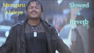 Mungaru Maleye Title Song | Slowed and Reverb