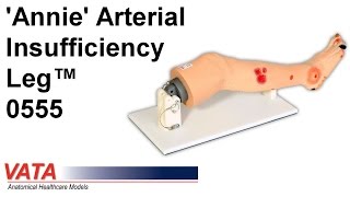 0555 - 'Annie' Arterial Insufficiency Leg™