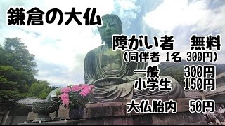 【鎌倉の大仏】実は鎌倉の大仏は〇〇だったー！障がい者、無料！同伴者、300円！