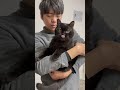 hug the cat.抱緊處理🤗️ 貓咪影片 黑貓 貓咪 抱貓 cat