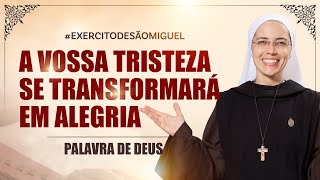 Vossa tristeza se transformará em alegria (Jo 16,16-20) Palavra de Deus #635| 18/05| Instituto Hesed