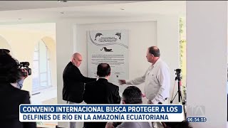 Un convenio internacional busca proteger a los delfines de río en la Amazonía