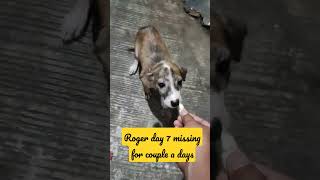 Roger day 7 missing for couple a days