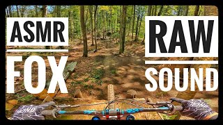 🎧ASMR Fox Suspension | Raw Sound Downhill Happy Bear | Fairy Trail