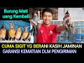 (BURUNG MATI UANG KEMBALI) CUMA SIGIT YG BERANI KASIH JAMINAN DLM PENGIRIMAN DI PASAR BURUNG PRAMUKA