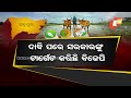 ବିଶେଷ କାହାଣୀ ପାଦାମପୁର ବାଇପୋଲ ରାଜନେତାମାନେ କୃଷକମାନଙ୍କୁ ଘୃଣା କରିବା ପାଇଁ ଯଥାସମ୍ଭବ ଚେଷ୍ଟା କରୁଛନ୍ତି