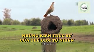 Những Kiến Trúc Sư Của Thế Giới Tự Nhiên (Phần 1) - Thế Giới Động Vật