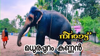 madurappuram Kannan#elephant