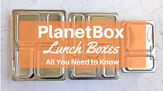 PlanetBox Lunch Boxes: All you need to know!