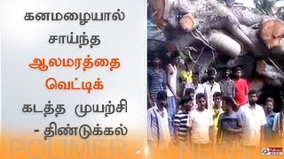 கனமழையால் சாய்ந்த ஆலமரத்தை வெட்டிக் கடத்த முயற்சி என புகார் - திண்டுக்கல்