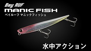 上擦ったベイトフィッシュ【マニックフィッシュ】～水中アクション～