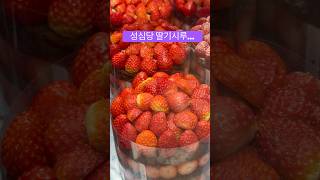 #성심당 #딸기시루 #성심당딸기시루 #대전성심당 #성심당 #대전맛집 #대전롯데성심당 #성심당부띠끄