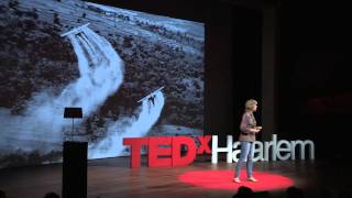 How law can save the Earth. | Femke Wijdekop | TEDxHaarlem