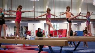 Interactive Academy - Recreational Gymnastics