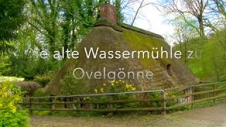 Die Ovelgönner Wassermühle