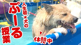 生まれて初めてプールで本気を出した結果がこちらです・・・！