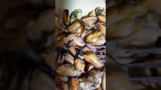 მიდიები  mussels  мидии