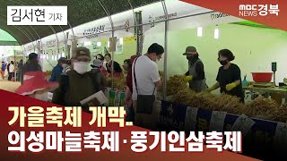 [R-1]가을축제 개막..의성마늘축제·풍기인삼축제 / 안동MBC