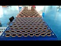 Autoamtic Sorting Parcel Line Test Video- DWS System+EFS Series Sorter+EWS Sorter