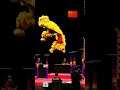 【chinese new year】中日韩三国舞狮（lion dance in korea japan and china），没有对比就没有伤害！^_^