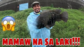 Biglang sumabog ang tubig sa mga isda grabe mga mamaw na sa laki ang nahuli?