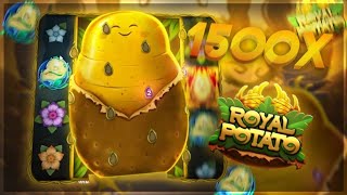 Chimp | INSANE ROYAL POTATO BONUS BUY (1500x) | Stake Highlights #2