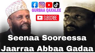 Seenaa Guutuu Gootichaa Sooressa Jaarraa Abbaa Gadaa #oromo @abelbirhanu1 @OromiaMedia #ytshort