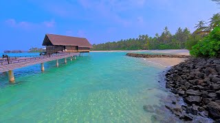 Maldives Ocean 4K 🏝 Tropical Beach in Summer. Ocean sounds for sleep and study