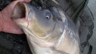 YUKSEK BASINCTA SAZAN AVI NASIL YAPILMALI 1. BOLUM - CARP FISHING DURING HIGH PRESSURE E. 1