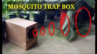 How to Make Mosquito Trap Box from Cardboard