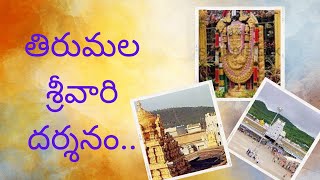 నా తిరుమల యాత్ర.. // THIRUMALA FAMILY ROUR// శ్రీవారి దర్శనం..