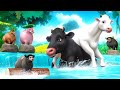 Epic Cyclone Rescue: Black Cow Saves White Cow & Animals | Animal Adventures 2024