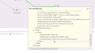 IIB V10.0.0.6 Consuming REST APIs by using REST Request nodes with security enabled