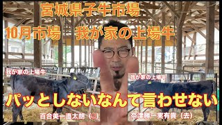 【宮城県子牛市場】10月市場　我が家の上場牛