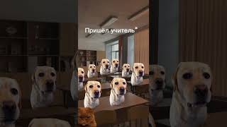 Ахахах чисто наш класс… Простите за неактив🩷 #followme #shorts #мем