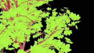 jMonkey-EmitterTree