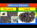 Differences Between Medical And Health Benefits Of Chia seeds  and Cubeb