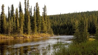 Gulkana Wild and Scenic River - 50th Anniversary of the Wild \u0026 Scenic Rivers Act