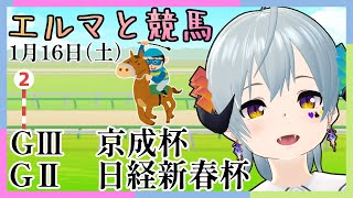 【＃競馬　＃京成杯　＃日経新春杯】エルマと競馬2 【1月16日】