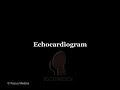 echocardiogram