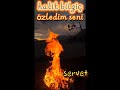 halit bilgiç Özledim Seni